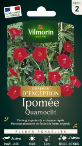 Ipomée Quamoclit - Graines d'Exception